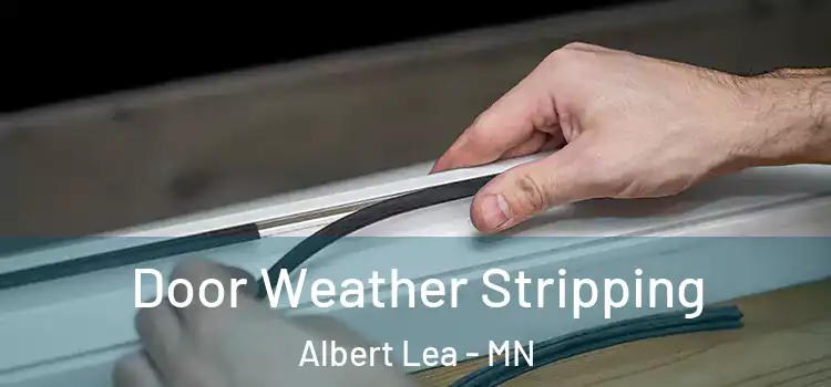 Door Weather Stripping Albert Lea - MN