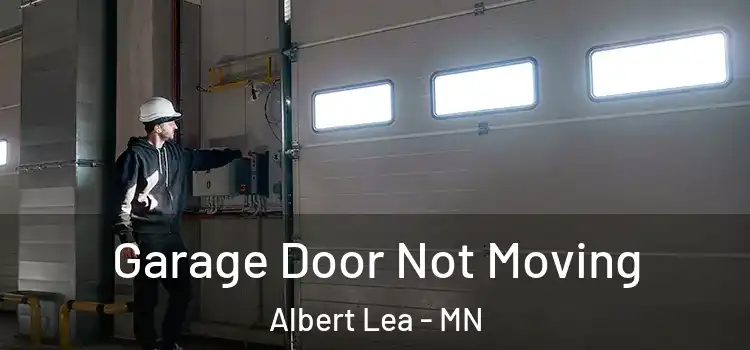  Garage Door Not Moving Albert Lea - MN