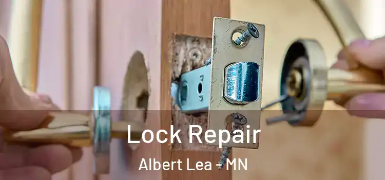 Lock Repair Albert Lea - MN