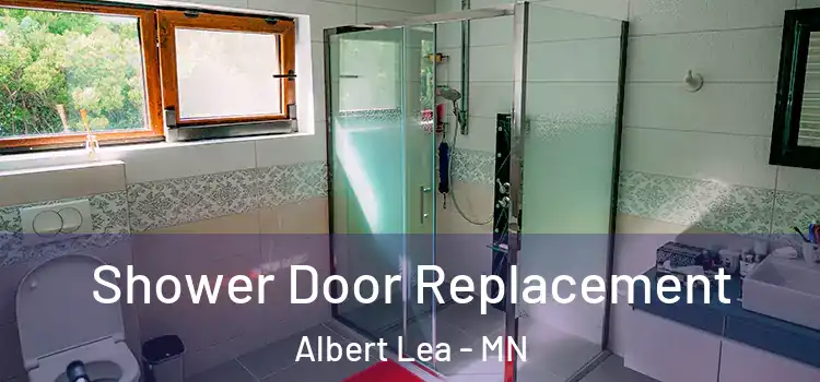 Shower Door Replacement Albert Lea - MN